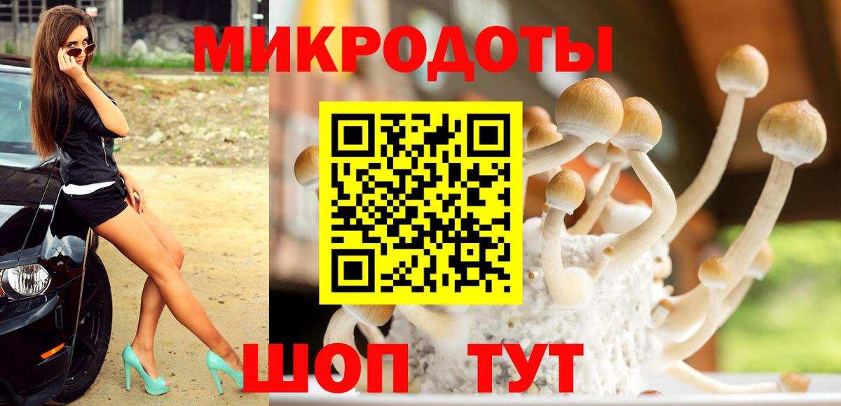 Галлюциногенные грибы Cubensis Баксан